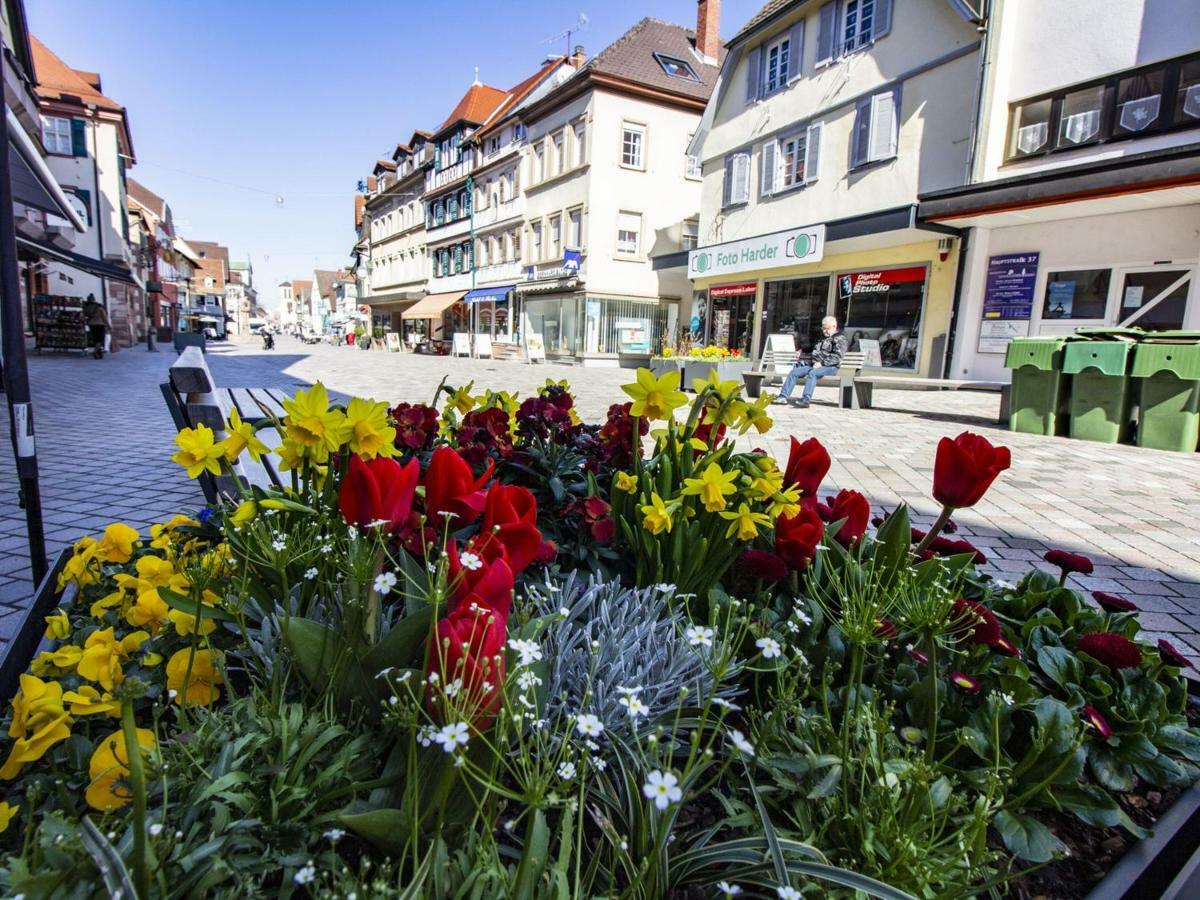Ferienwohnung Innenstadt Oberkirch  Exteriör bild